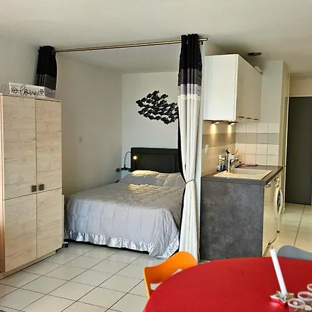 Beachfront For 6 Free Wifi, Air Conditioning, Garage, Swimming Pool דירה Sète